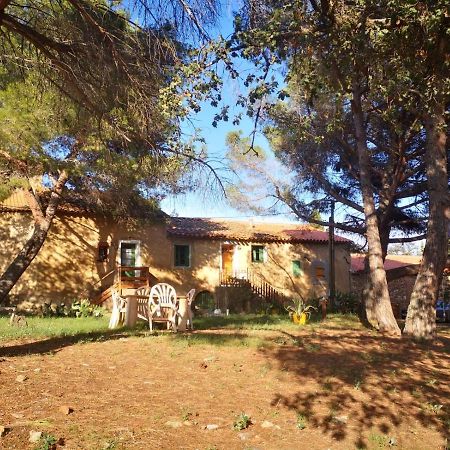 Maison Entiere Hameau Monastir Del Camp Passa Экстерьер фото