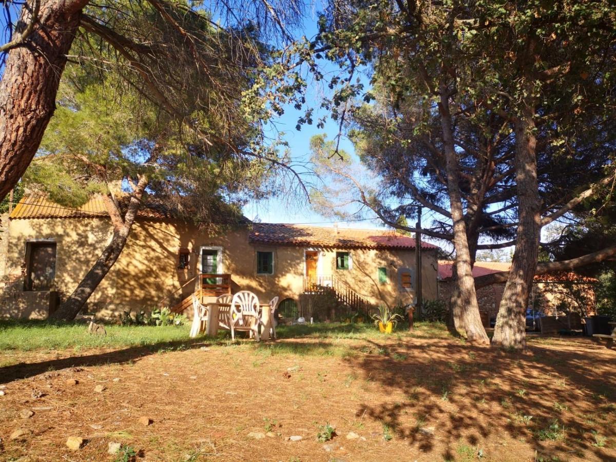 Maison Entiere Hameau Monastir Del Camp Passa Экстерьер фото